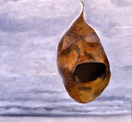 ৪র্থ ছবি